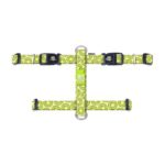 Επιστήθιο Max & Molly Kiwi 1